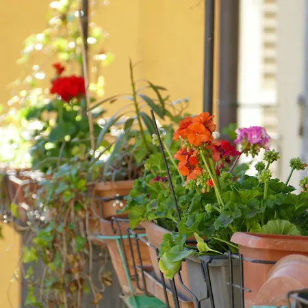 Nonna Nilla, A Large And Cozy Flat In Porta Venezia 아파트 밀라노